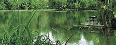 Location bateaux Damazan