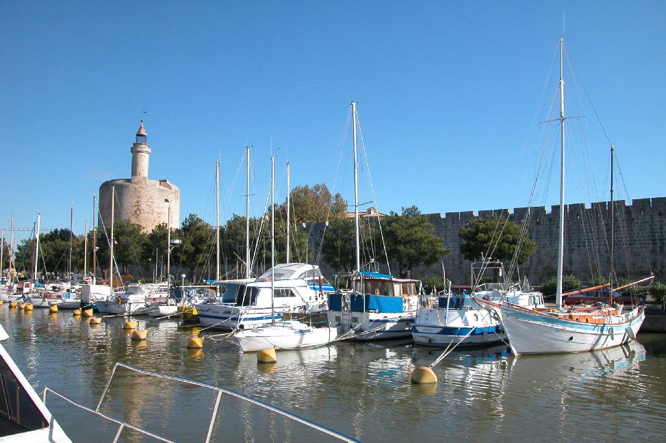 carnon