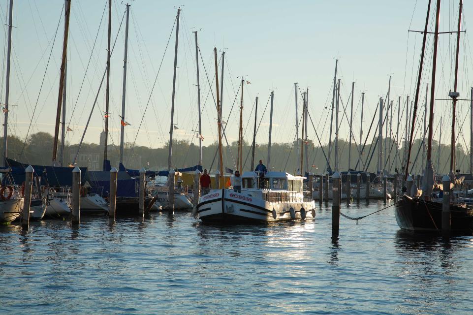 chioggia