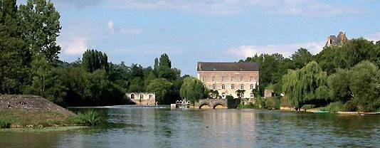 Maine-Anjou Grez-Neuville