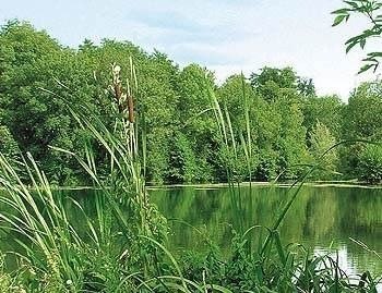 Location bateau Charente